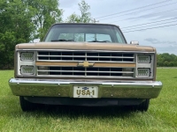 1987 Chevrolet Silverado for sale in Michigan (ID-130248)