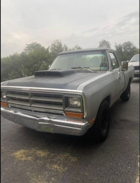 1987 Dodge D150 for sale in Michigan (ID-94780)