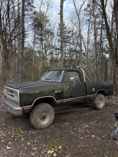 1987 Dodge D150 for sale in Michigan (ID-155976)