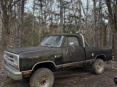 1987 Dodge D150 for sale