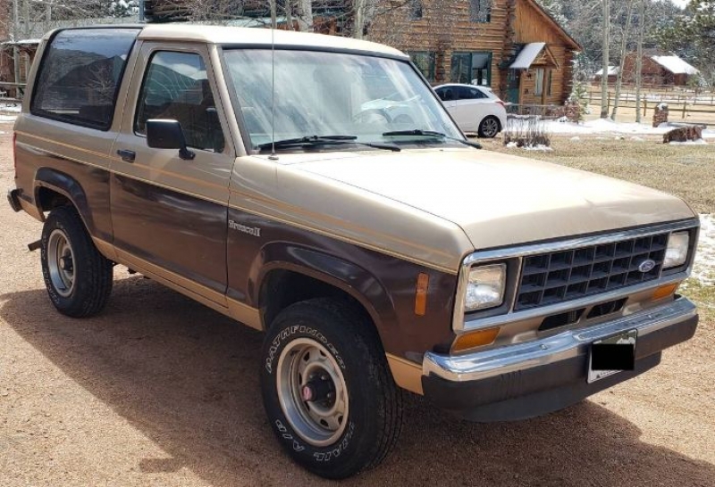 1987 Ford Bronco for sale in Michigan (ID-116455)