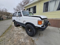 1987 Ford Bronco for sale in Michigan (ID-127254)