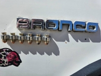1987 Ford Bronco for sale in Michigan (ID-127254)