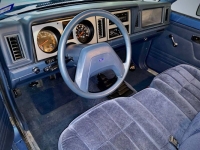 1987 Ford Bronco for sale in Michigan (ID-163073)