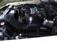 1987 Ford Crown Victoria for sale in Michigan (ID-127911)