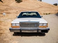 1987 Ford Crown Victoria for sale in Michigan (ID-137046)