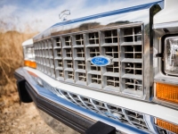 1987 Ford Crown Victoria for sale in Michigan (ID-137046)
