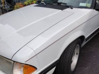 1987 Ford Mustang for sale in Michigan (ID-103157)