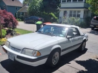1987 Ford Mustang for sale in Michigan (ID-103157)
