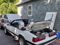1987 Ford Mustang for sale in Michigan (ID-103157)