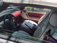 1987 Ford Mustang for sale in Michigan (ID-103157)