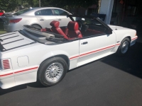 1987 Ford Mustang for sale in Michigan (ID-115440)