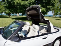1987 Ford Mustang for sale in Michigan (ID-116692)