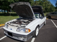 1987 Ford Mustang for sale in Michigan (ID-116692)