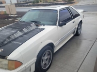 1987 Ford Mustang for sale in Michigan (ID-119884)