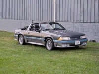 1987 Ford Mustang for sale in Riverhead, New York (ID-121741)