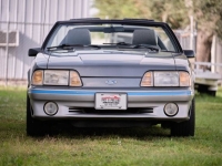 1987 Ford Mustang for sale in Riverhead, New York (ID-121741)