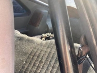 1987 Ford Mustang for sale in Michigan (ID-121795)