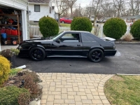 1987 Ford Mustang for sale in Michigan (ID-126844)
