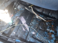 1987 Ford Mustang for sale in Michigan (ID-144847)