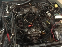 1987 Ford Mustang GT for sale in Michigan (ID-134852)