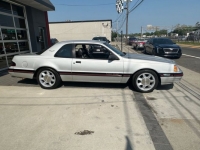 1987 Ford Thunderbird for sale in Michigan (ID-117052)