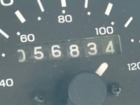 1987 Ford Thunderbird for sale in Michigan (ID-117052)