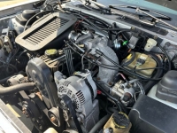 1987 Ford Thunderbird for sale in Michigan (ID-117052)