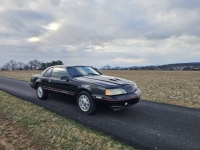 1987 Ford Thunderbird for sale in Michigan (ID-139529)