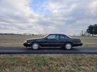 1987 Ford Thunderbird for sale in Michigan (ID-139529)