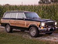 1987 Jeep Grand Wagoneer for sale in Michigan (ID-122710)