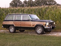 1987 Jeep Grand Wagoneer for sale in Michigan (ID-122710)