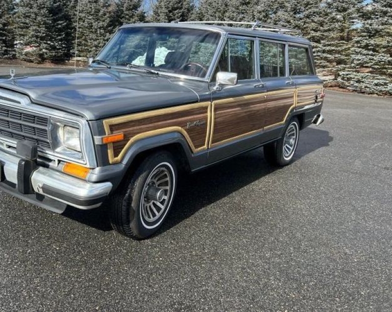1987 Jeep Grand Wagoneer for sale in Michigan (ID-130512)