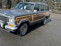 1987 Jeep Grand Wagoneer for sale in Michigan (ID-130512)