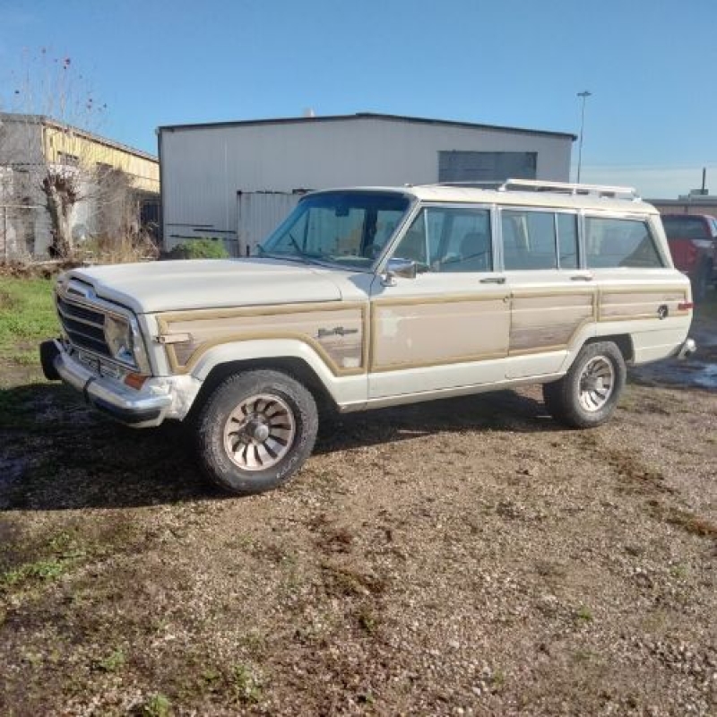 1987 Jeep Grand Wagoneer for sale in Michigan (ID-133584)