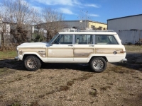 1987 Jeep Grand Wagoneer for sale in Michigan (ID-133584)