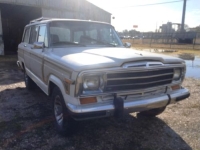 1987 Jeep Grand Wagoneer for sale in Michigan (ID-133584)