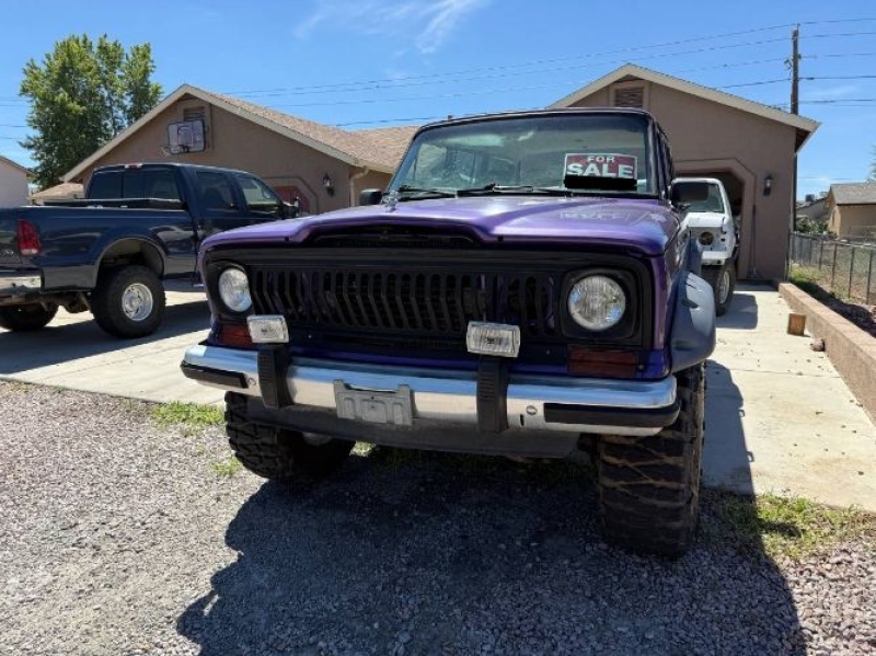 1987 Jeep Grand Wagoneer for sale in Michigan (ID-144220)