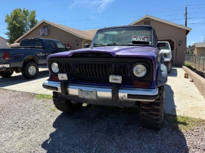 1987 Jeep Grand Wagoneer for sale in Michigan
