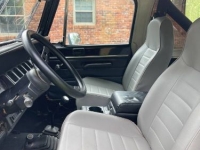 1987 Jeep Wrangler for sale in Michigan (ID-128196)