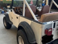 1987 Jeep Wrangler for sale in Michigan (ID-136121)