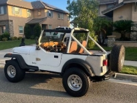 1987 Jeep Wrangler for sale in Michigan (ID-136121)
