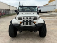 1987 Jeep Wrangler for sale in Michigan (ID-163330)