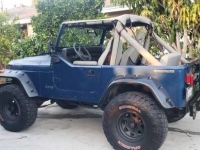 1987 Jeep YJ for sale in Michigan (ID-103374)