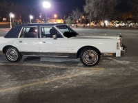 1987 Lincoln Town Car for sale in Michigan (ID-139119)