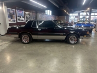 1987 Oldsmobile Cutlass for sale in Michigan (ID-140822)