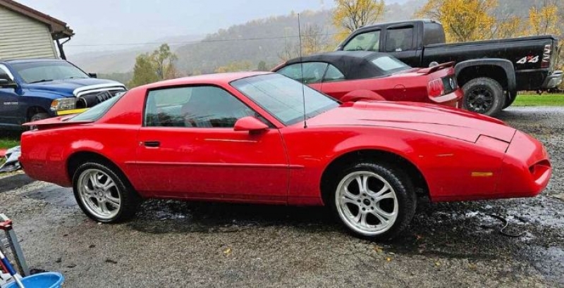 1987 Pontiac Firebird for sale in Michigan (ID-122721)