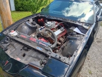 1987 Pontiac Firebird for sale in Michigan (ID-140726)