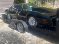1987 Pontiac Firebird for sale in Michigan (ID-140726)