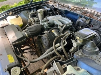 1987 Pontiac Firebird for sale in Michigan (ID-142383)